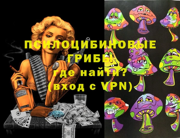 спиды Новодвинск