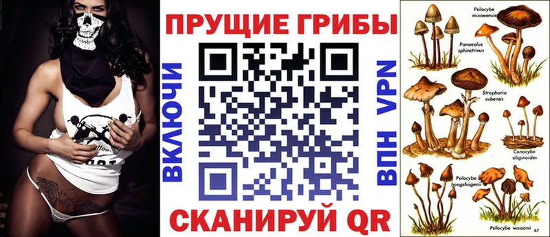 где продают Сычёвка блэк спрут ONION Галлюциногенные грибы мицелий